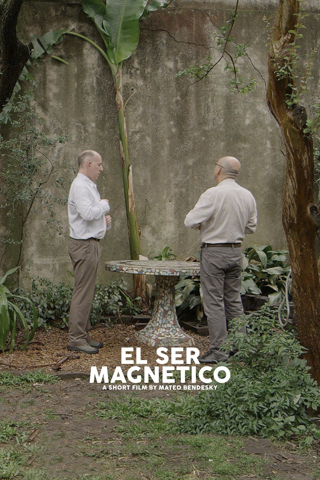 The Magnetic Nature full movie