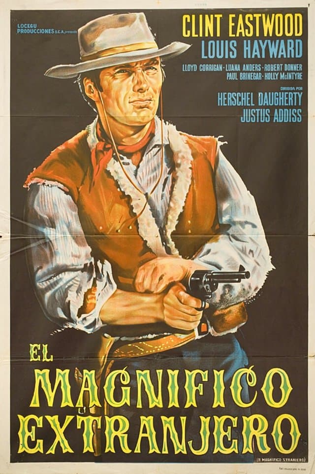 The Magnificent Stranger full movie