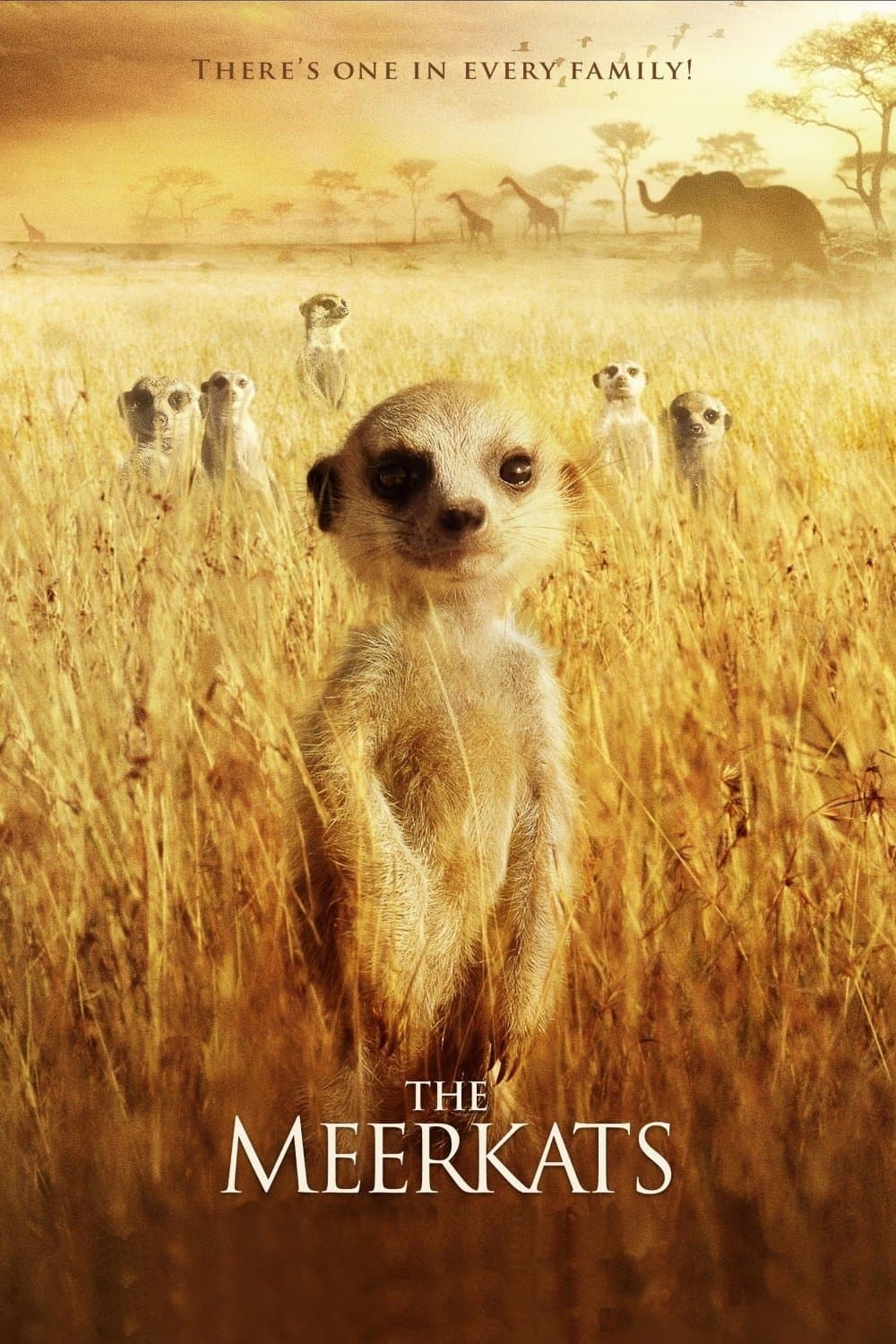 The Meerkats full movie