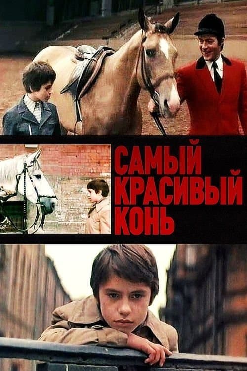 The Most Beautiful Horse full movie