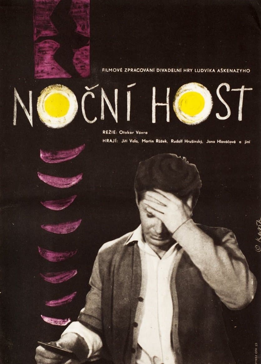 The Night Guest full movie