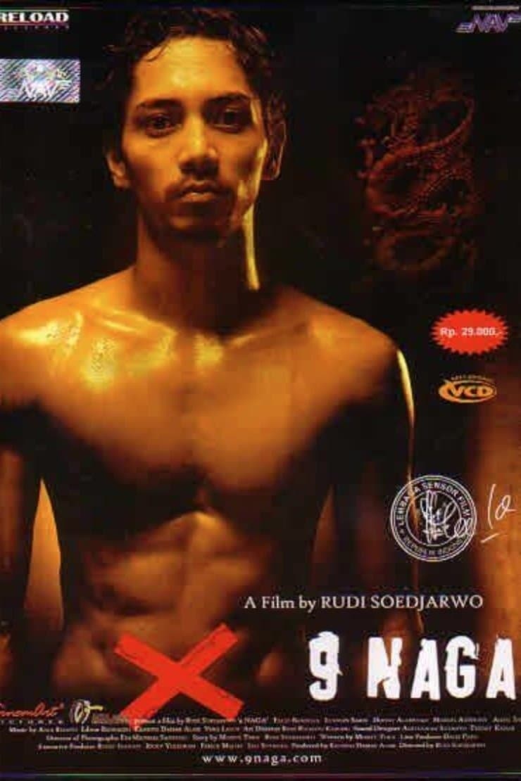 The Nine Dragon full movie