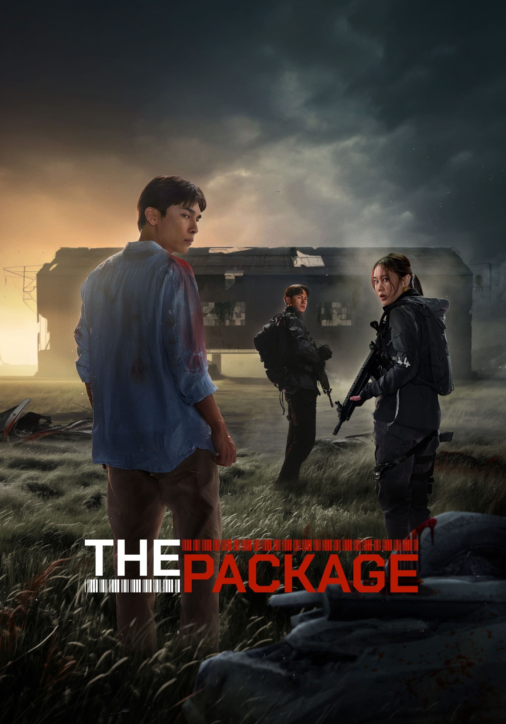 The Package full movie