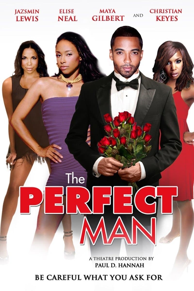 The Perfect Man full movie