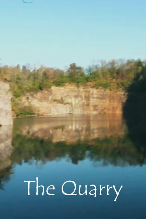 The Quarry full movie
