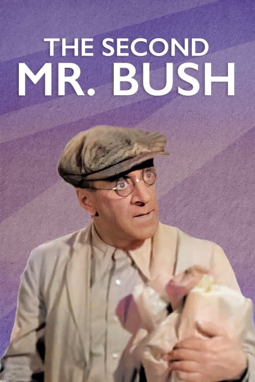 The Second Mr. Bush full movie