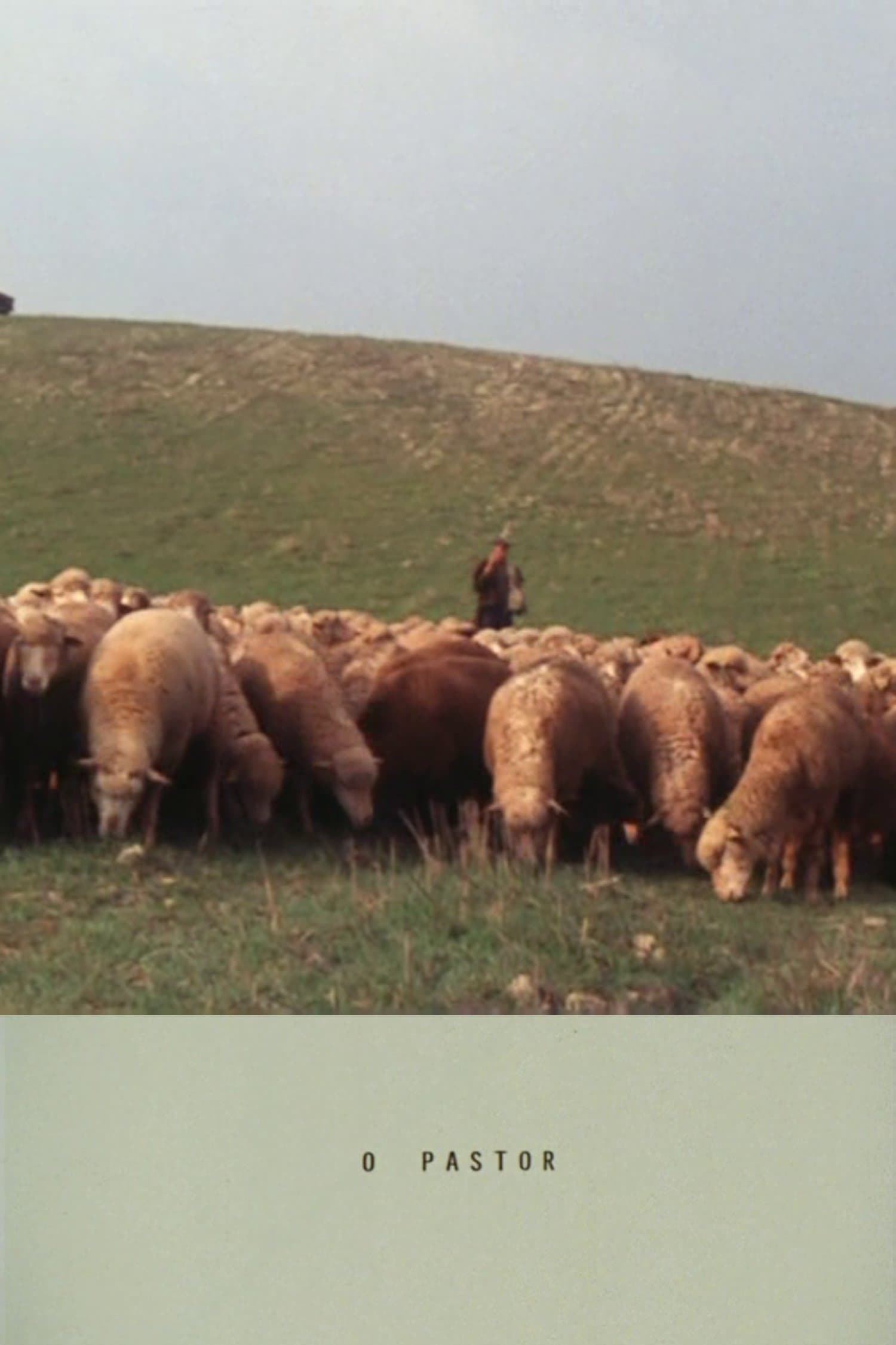 The Shepherd full movie