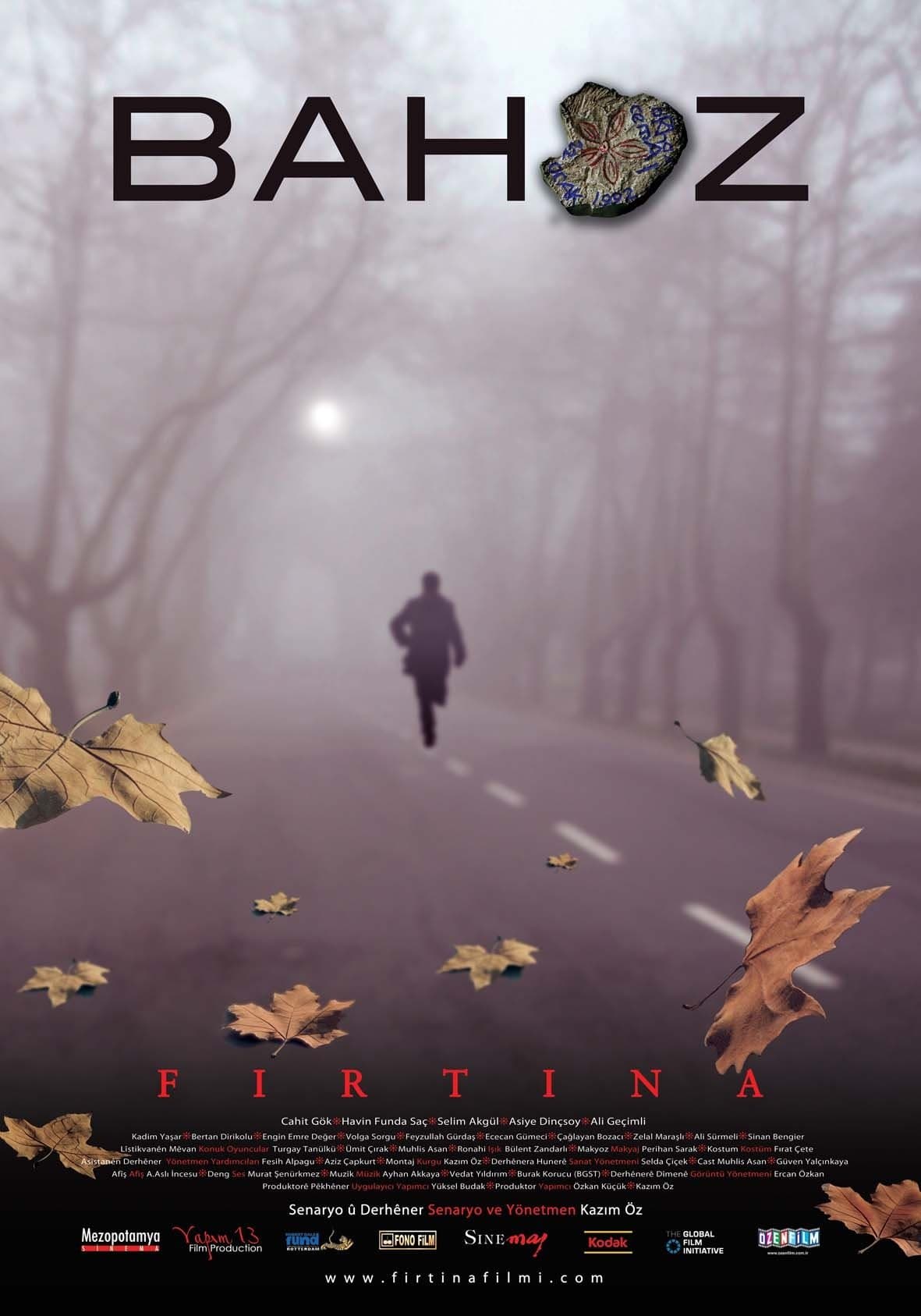 The Storm full movie