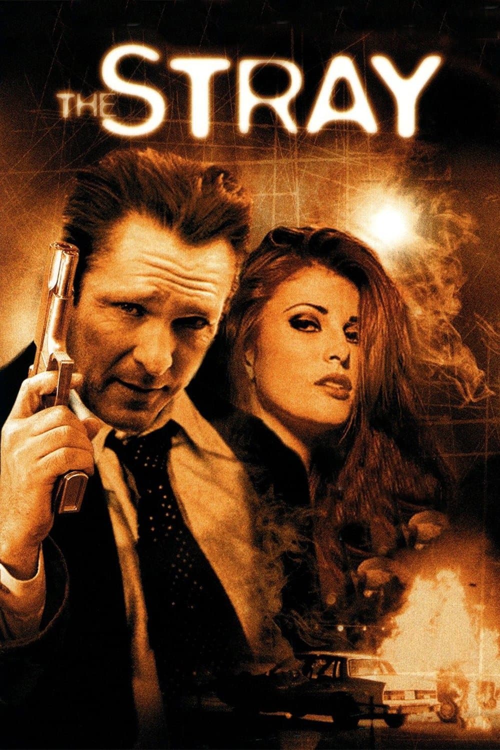 The Stray full movie