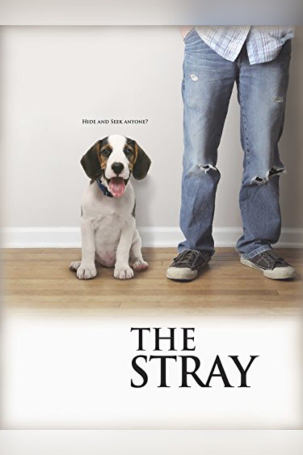 The Stray full movie