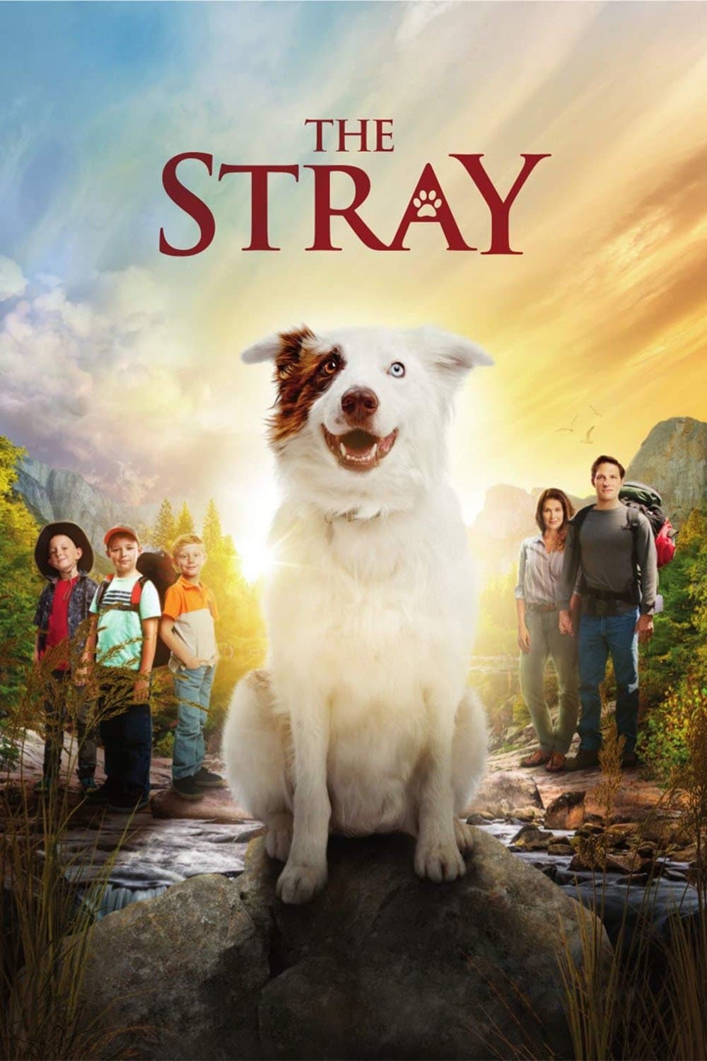 The Stray full movie