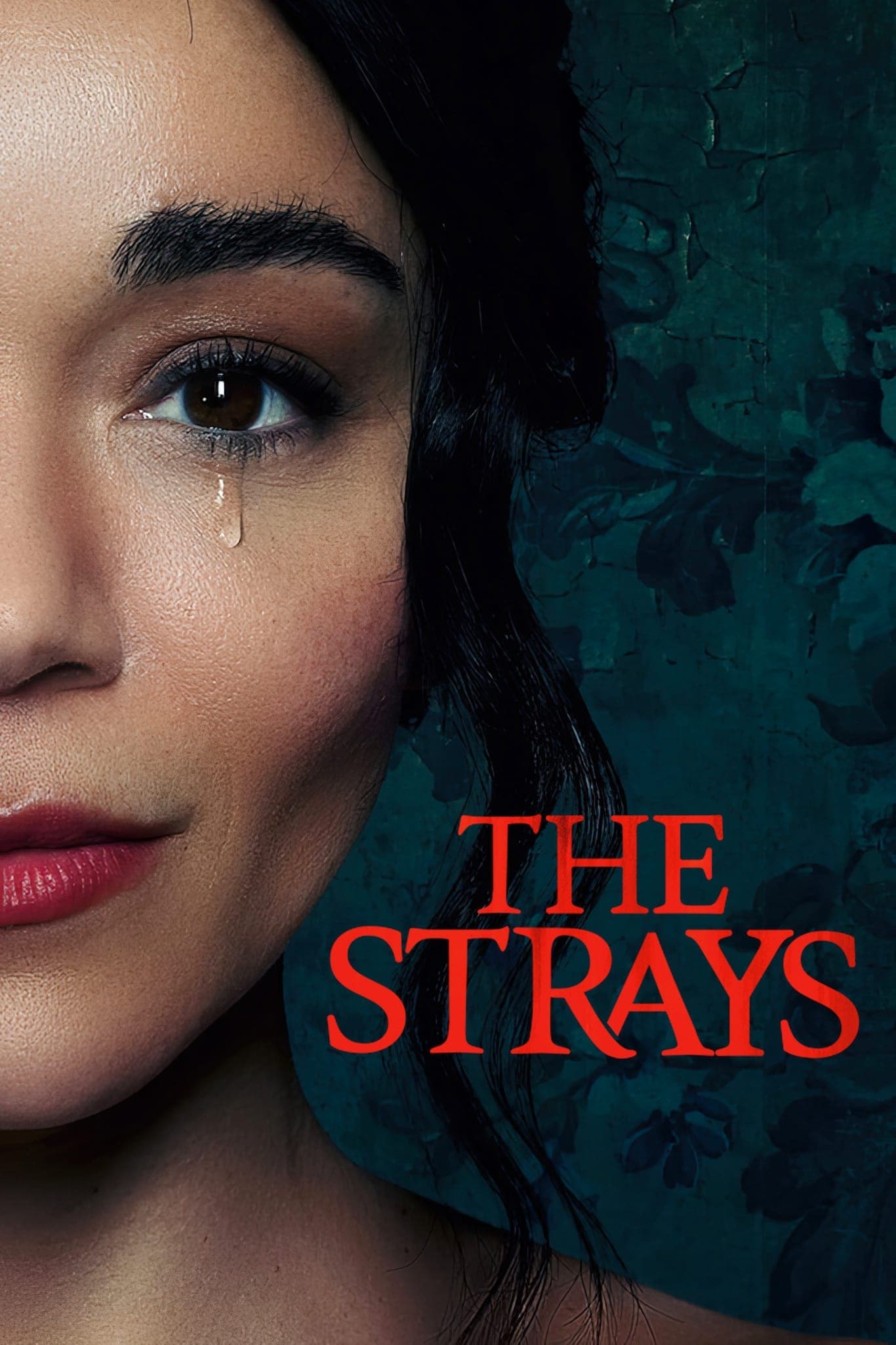 The Strays full movie