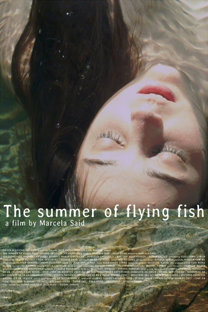 The Summer of Flying Fish full movie