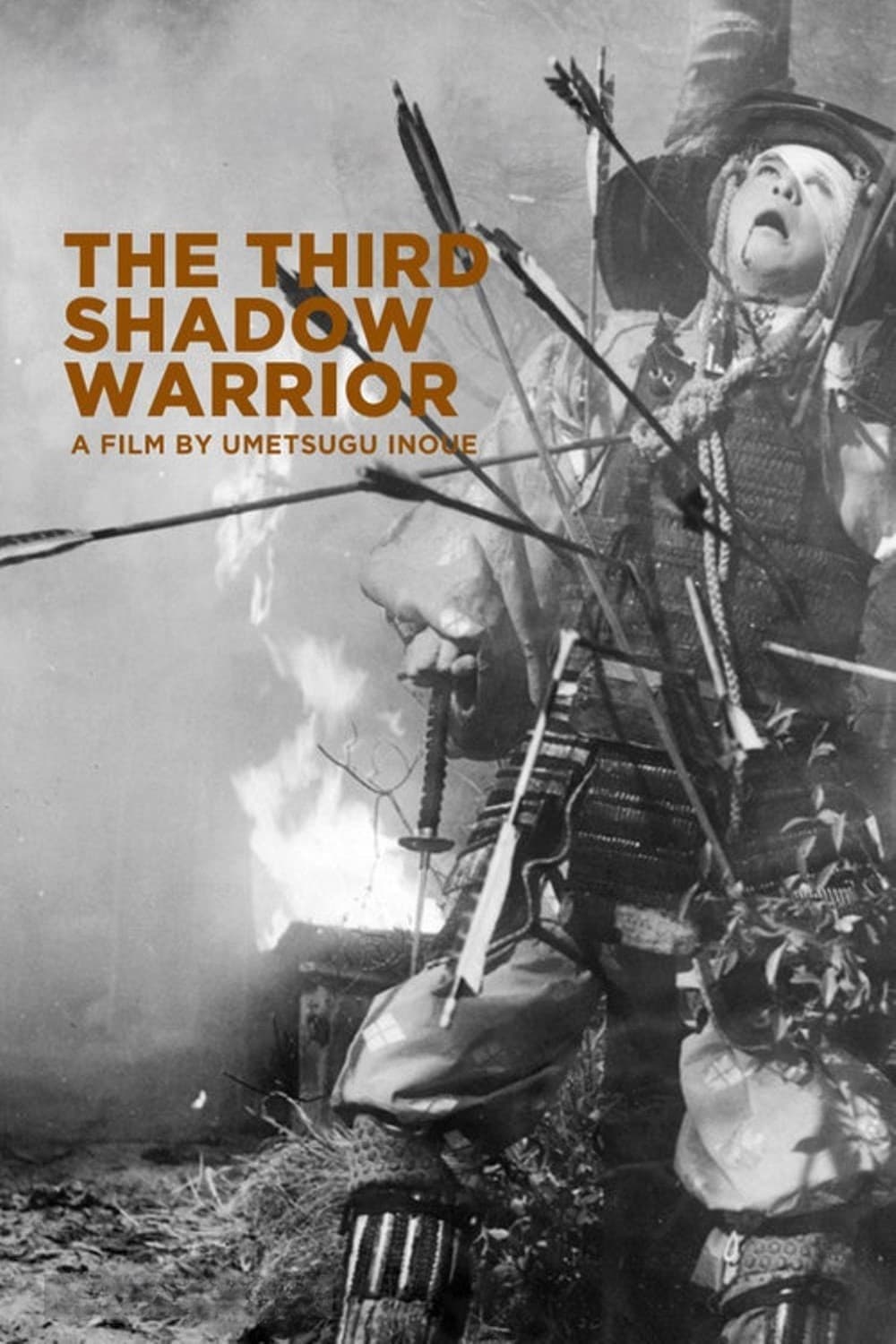 The Third Shadow Warrior full movie