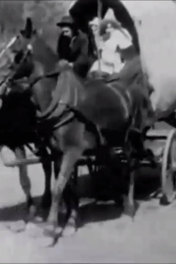 The Zulu's Heart full movie