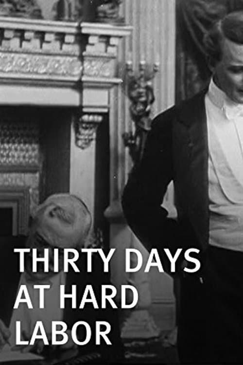 Thirty Days at Hard Labor full movie