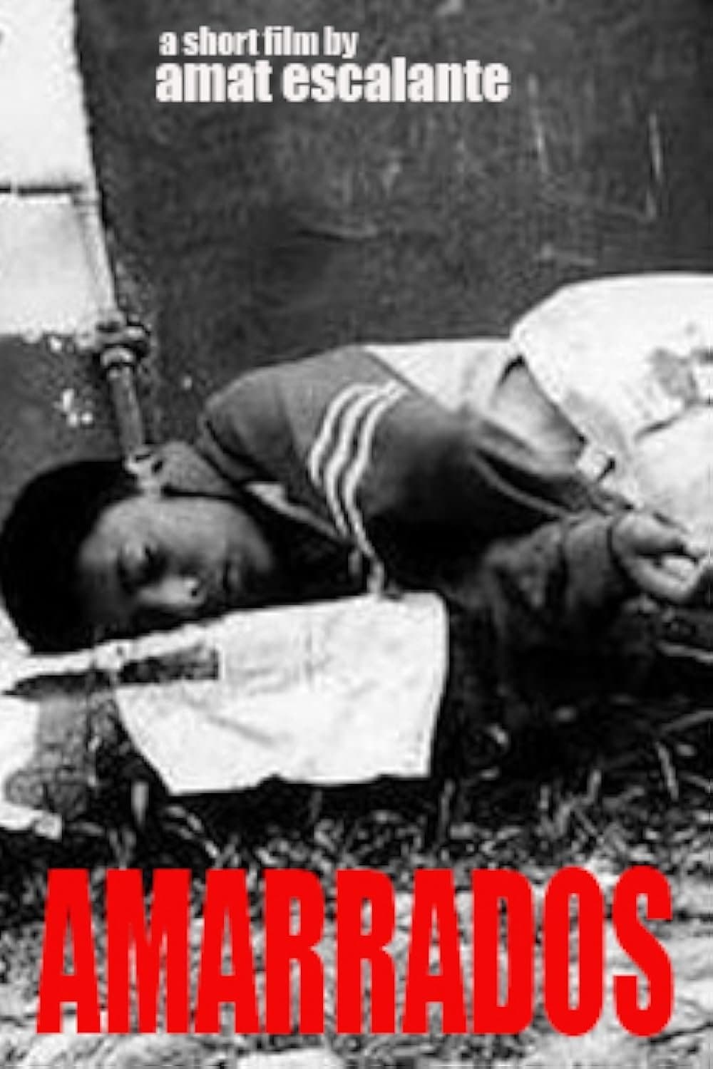 Tied Up full movie