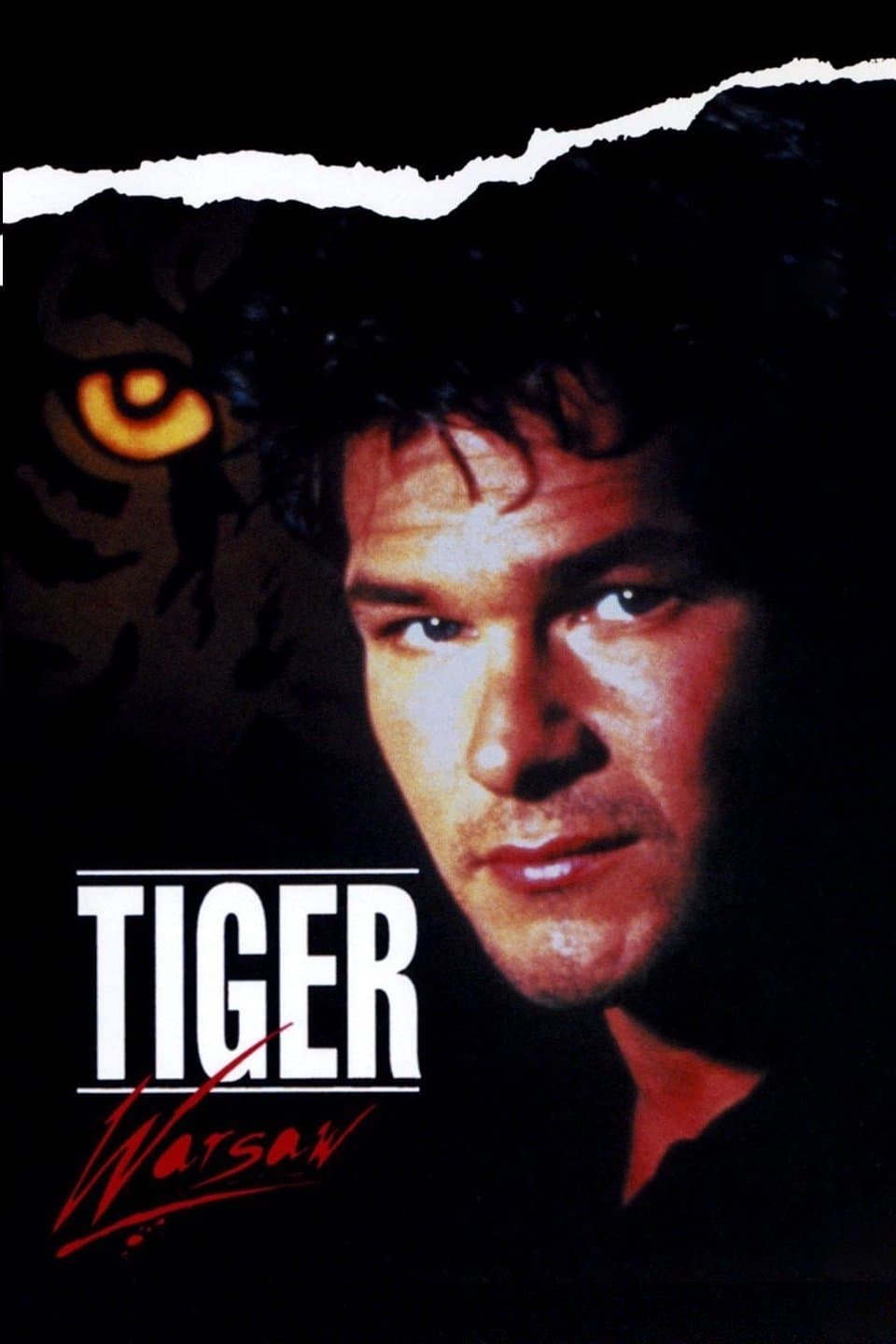 Tiger Warsaw full movie