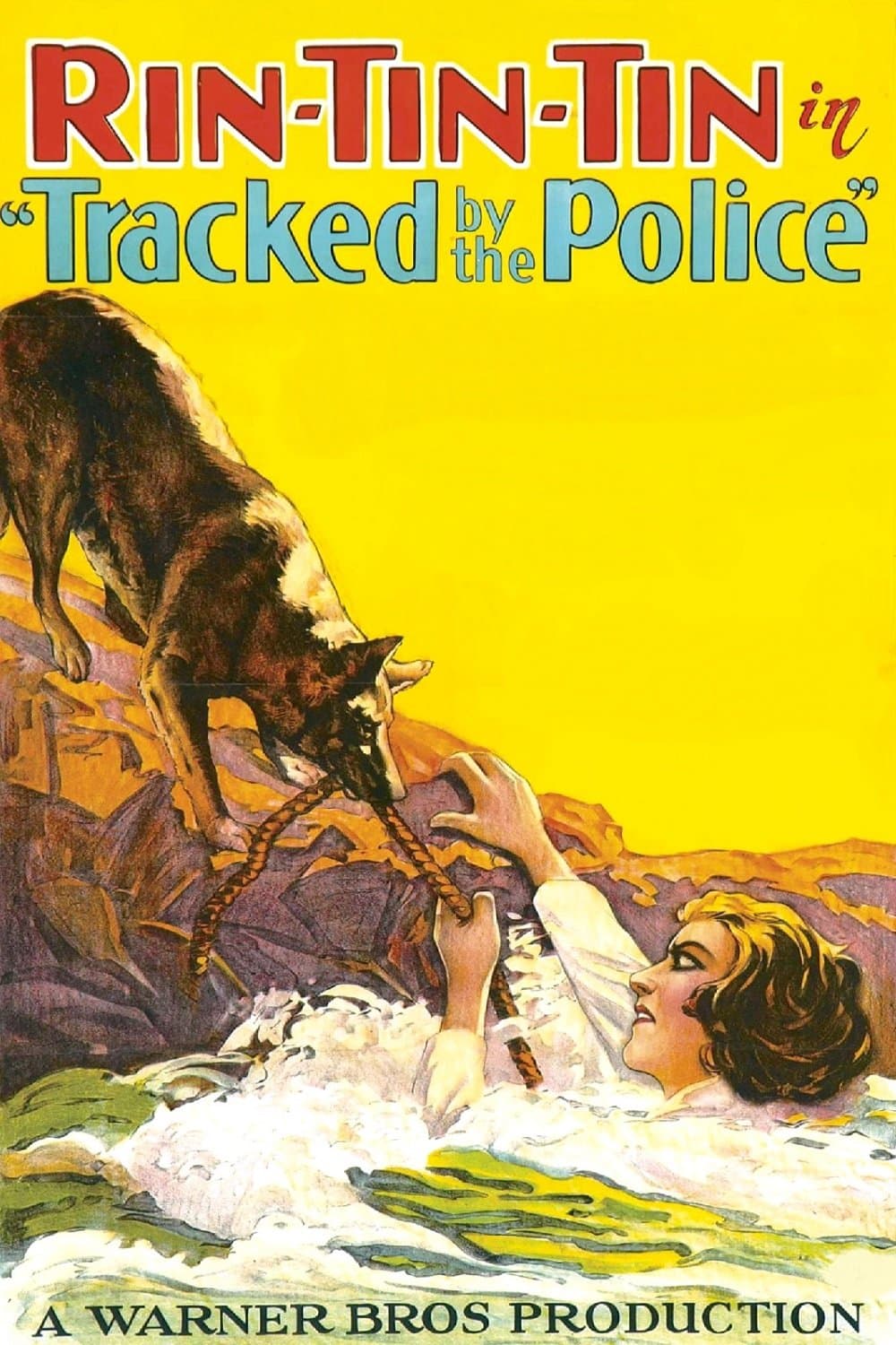 Tracked by the Police full movie
