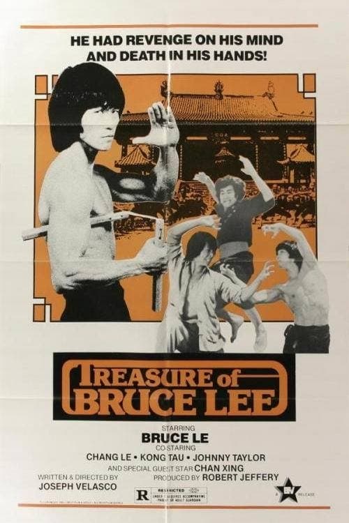 Treasure of Bruce Le full movie