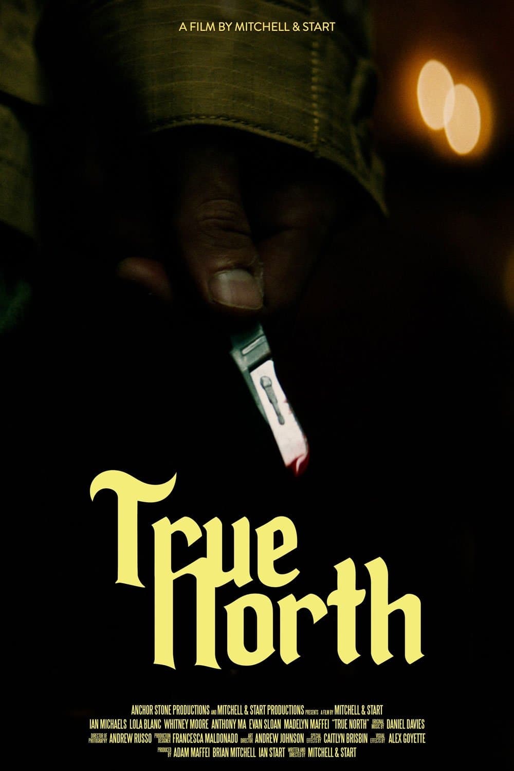 True North full movie