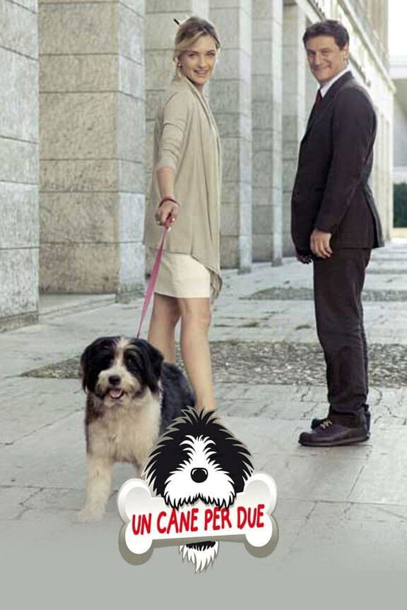 Un cane per due full movie