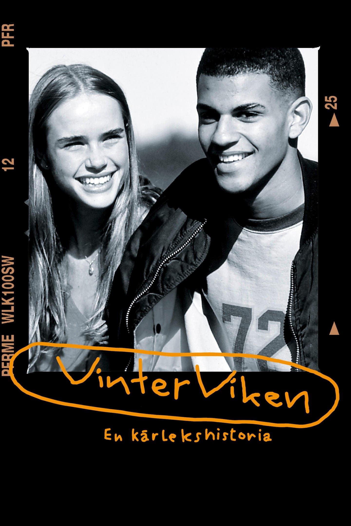 Vinterviken full movie
