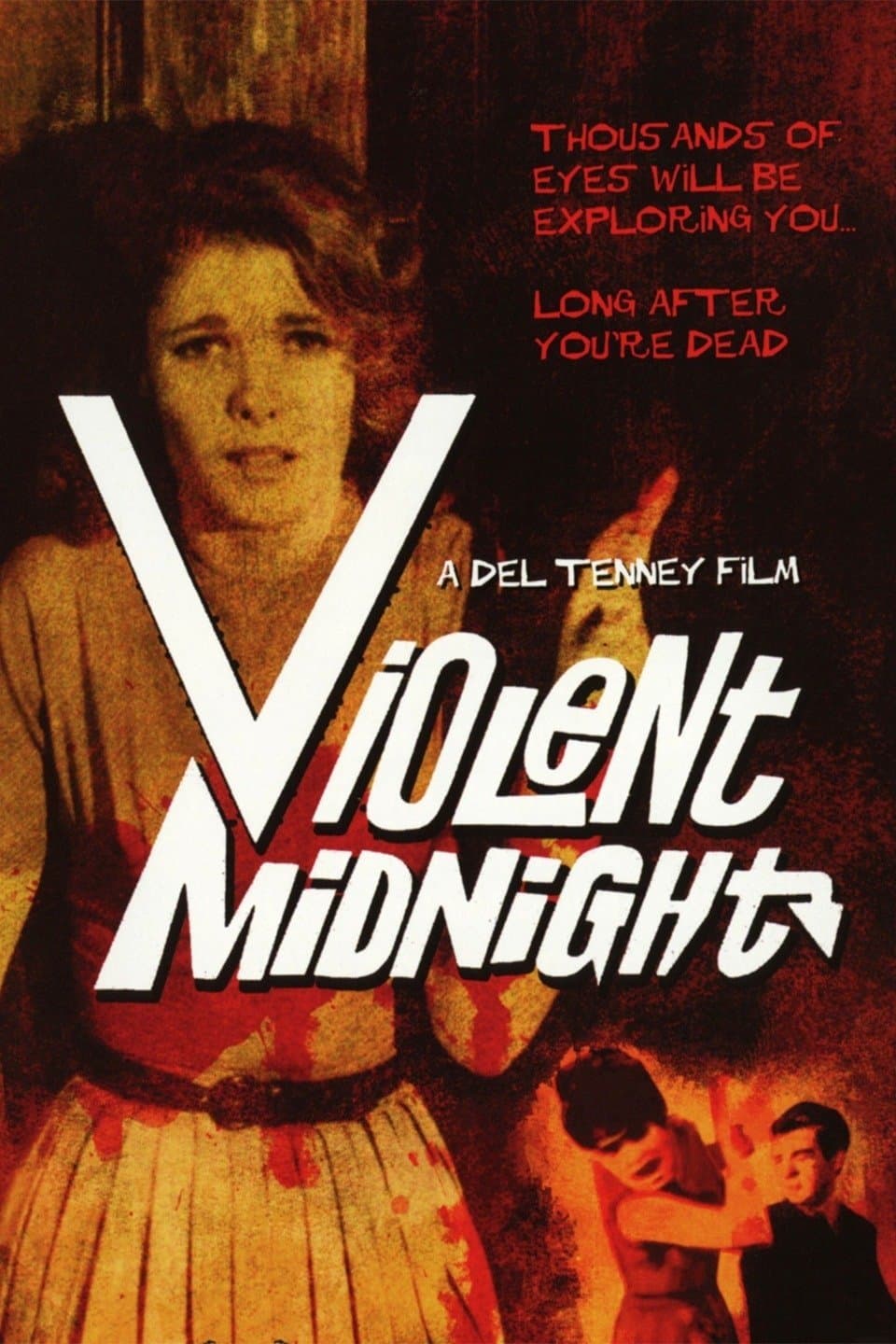 Violent Midnight full movie