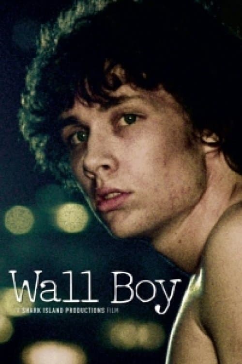 Wall Boy full movie