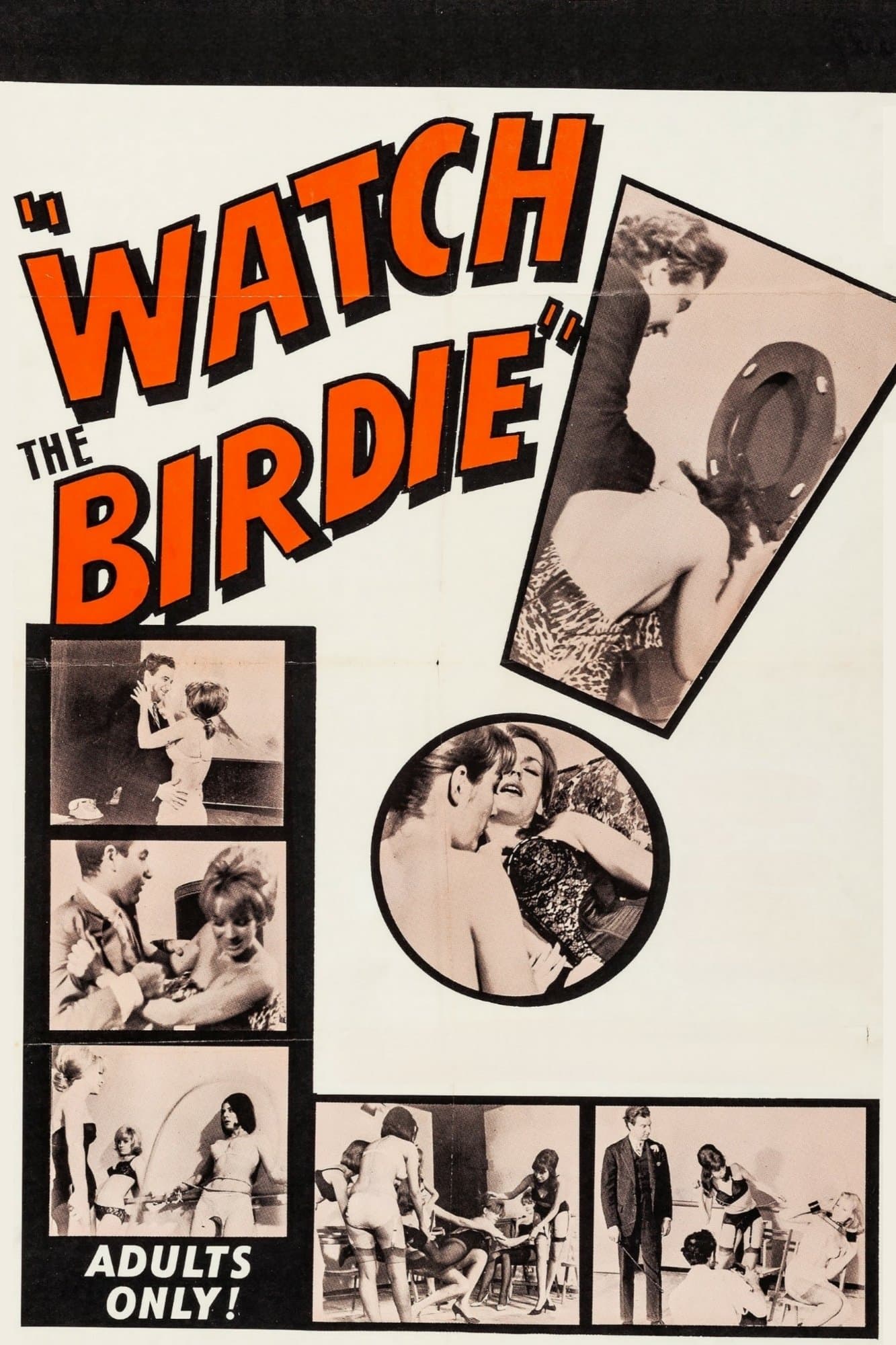 Watch the Birdie full movie