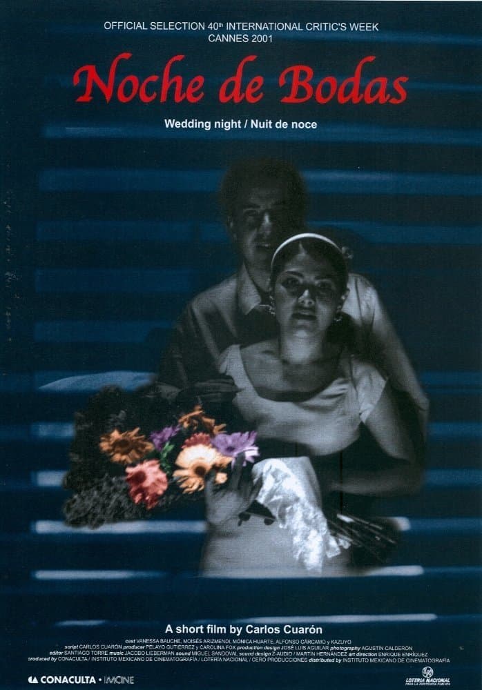 Wedding Night full movie