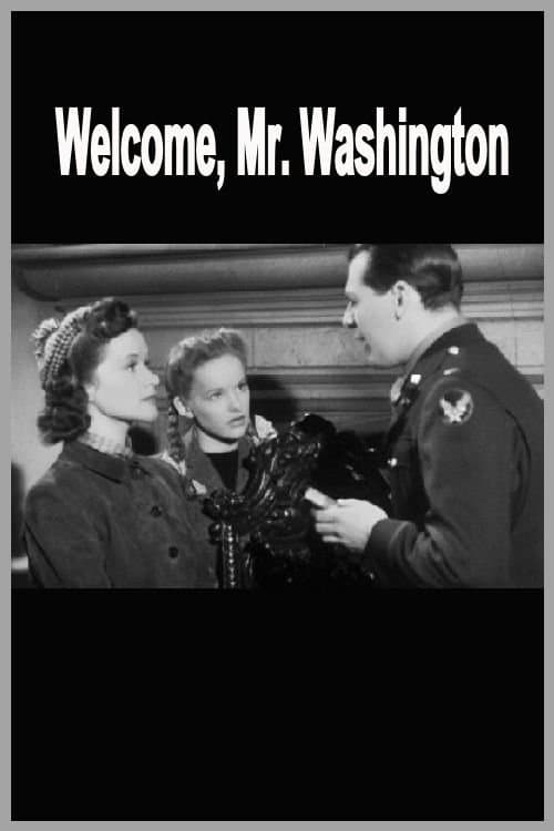 Welcome, Mr Washington full movie