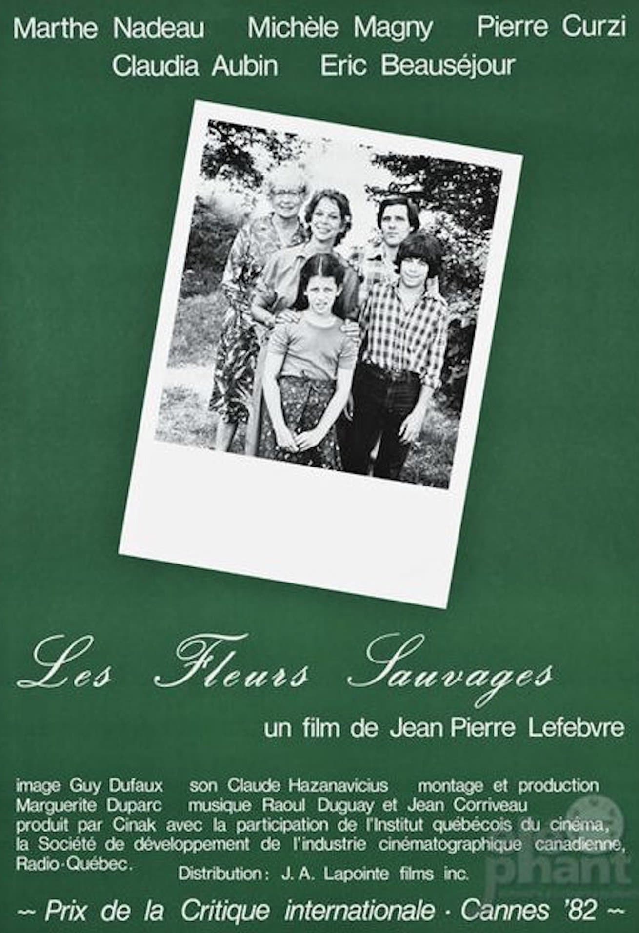 Wild Flowers full movie