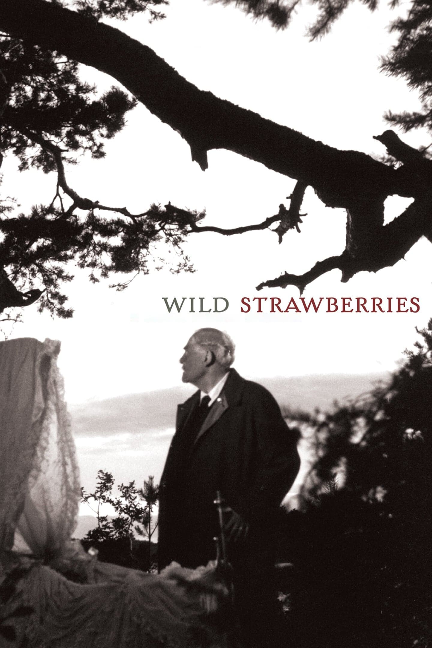 Wild Strawberries full movie