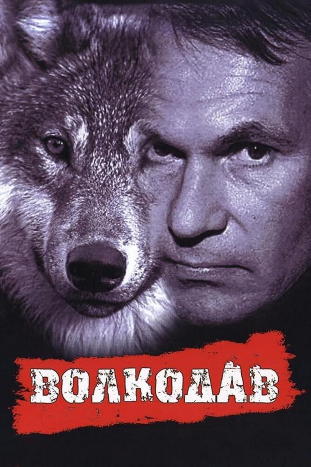 Wolfhound full movie