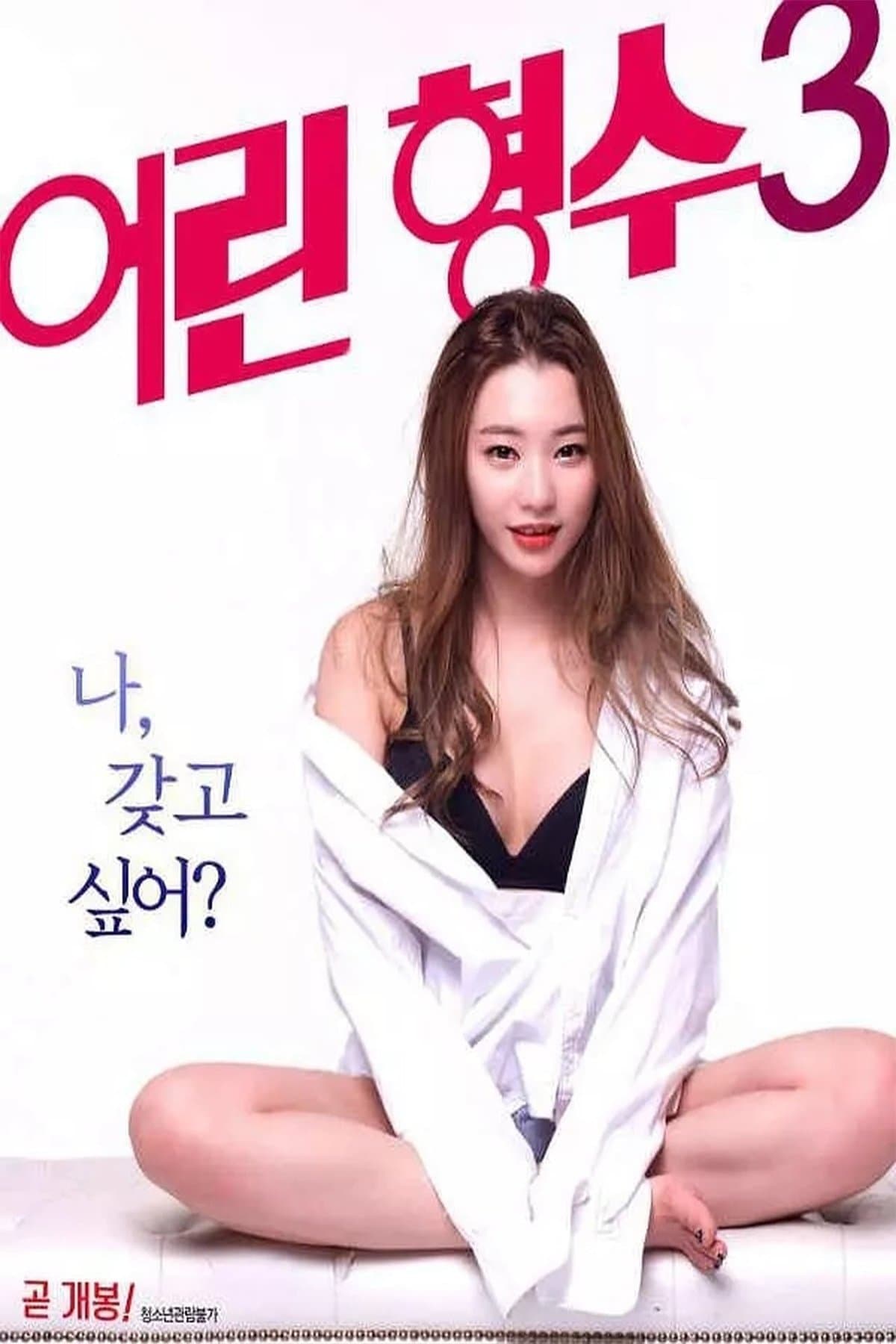 Young Sister-in-Law 3 full movie