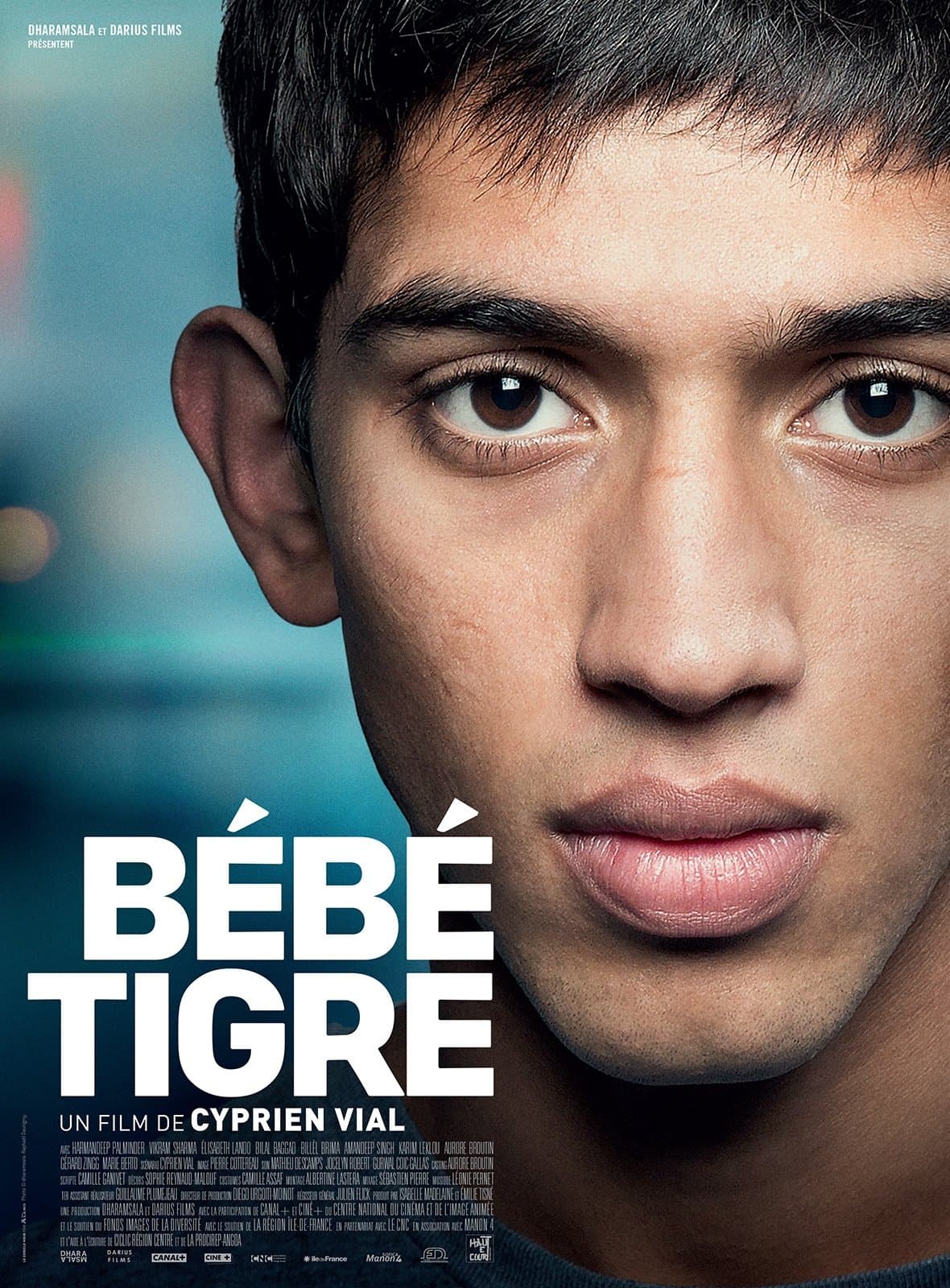 Young Tiger full movie