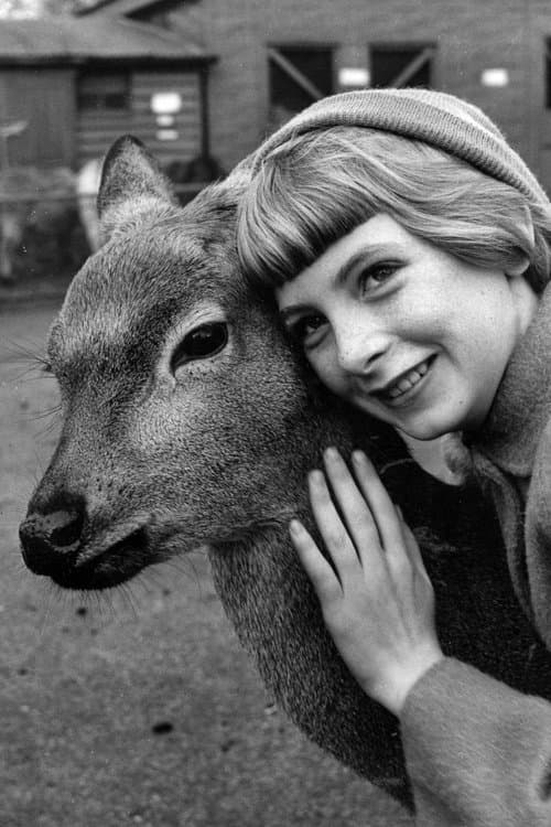 Photo of Jacqueline Ryan