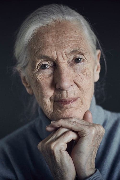 Photo of Jane Goodall