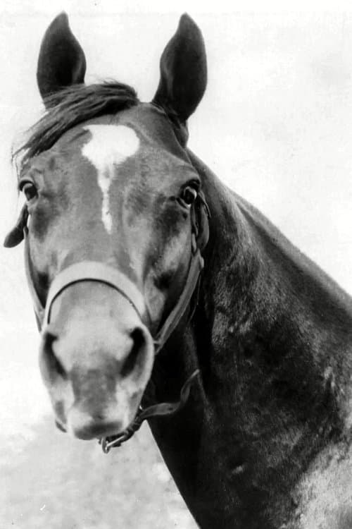 Photo of Man o' War