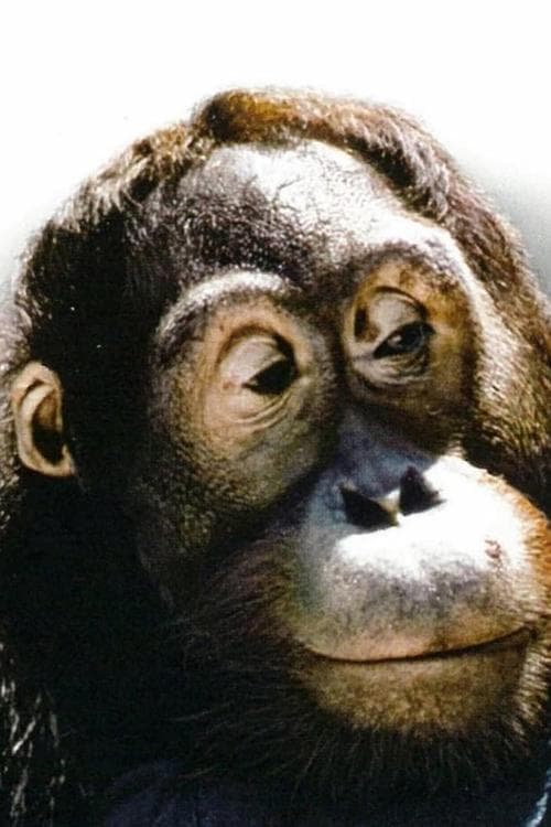 Photo of Manis