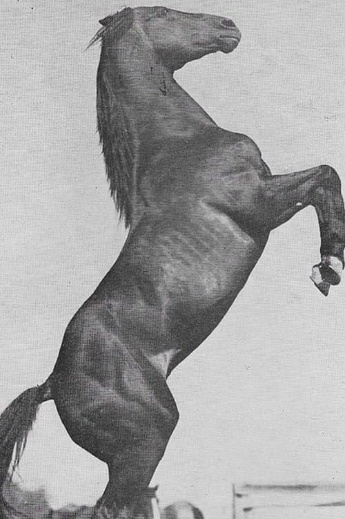 Photo of Rex