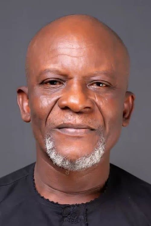 Photo of Toyin Oshinaike