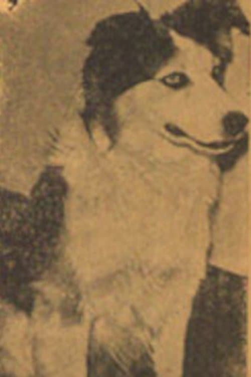 Photo of Tuffy