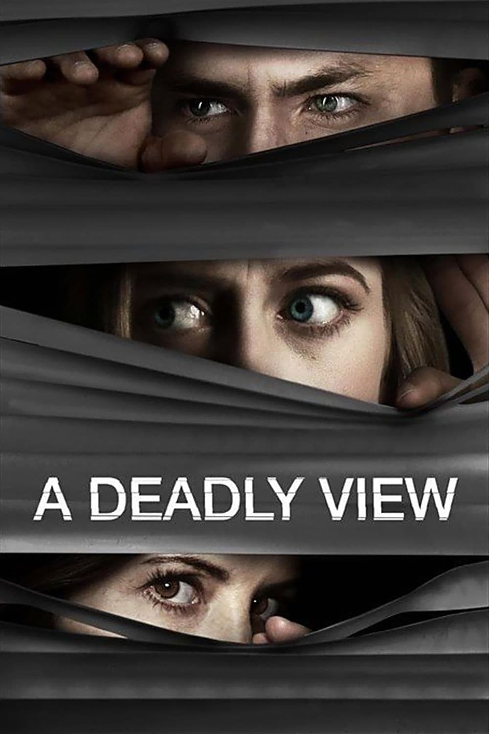 A Deadly View full movie