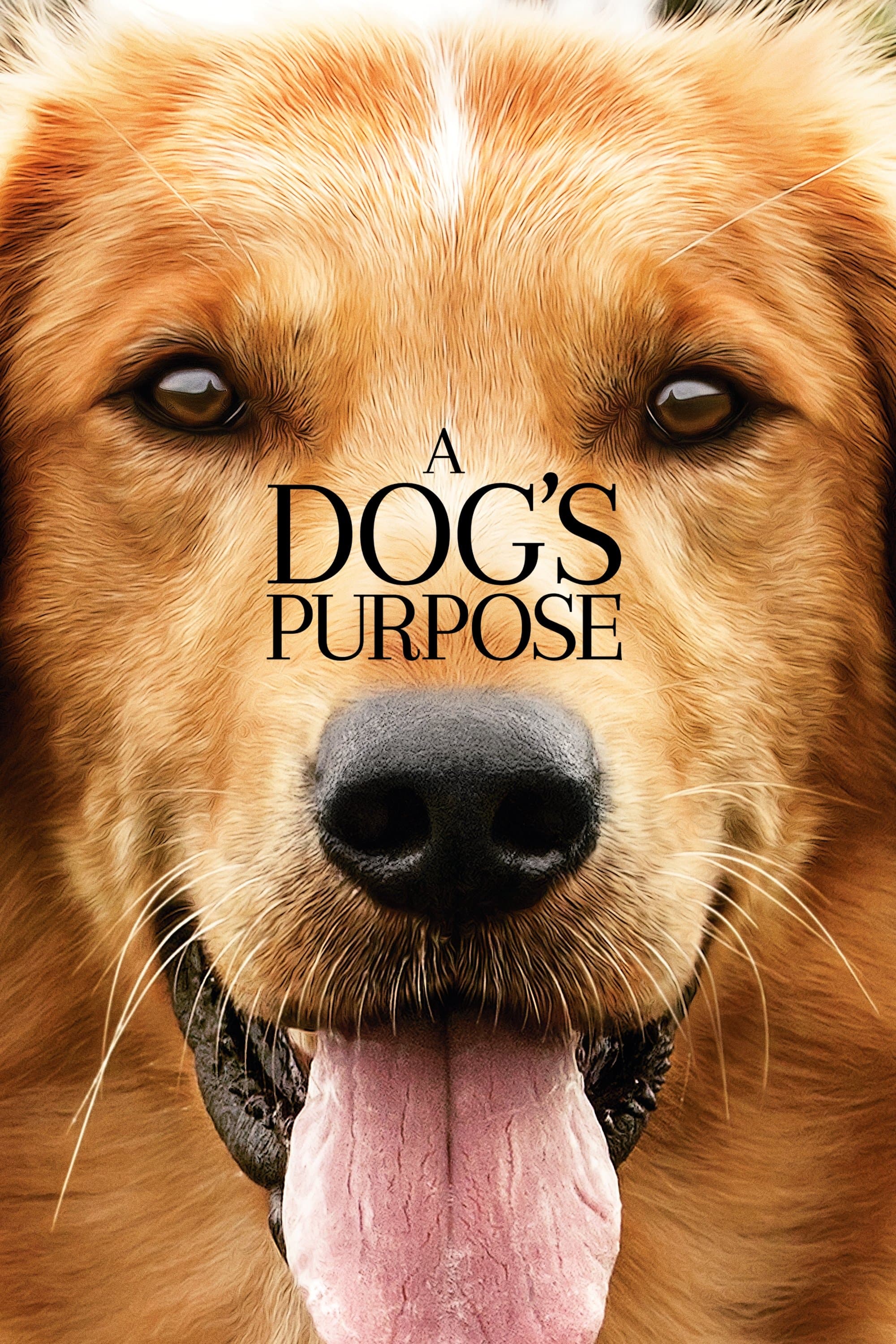 A Dog's Purpose full movie
