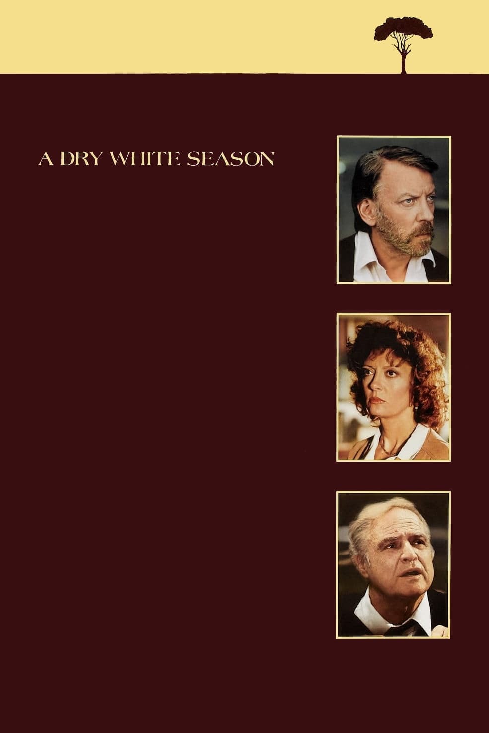 A Dry White Season full movie