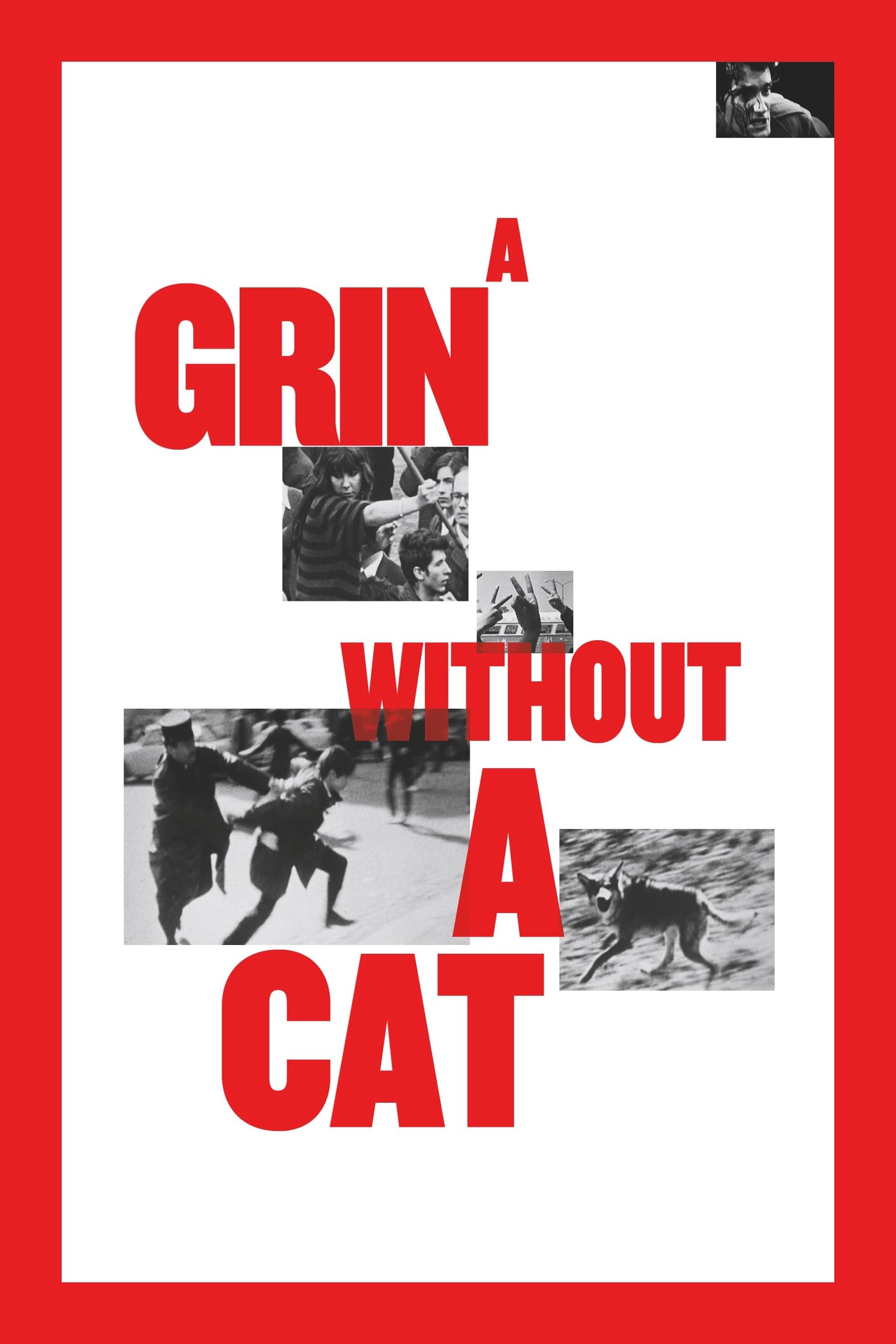 A Grin Without a Cat full movie