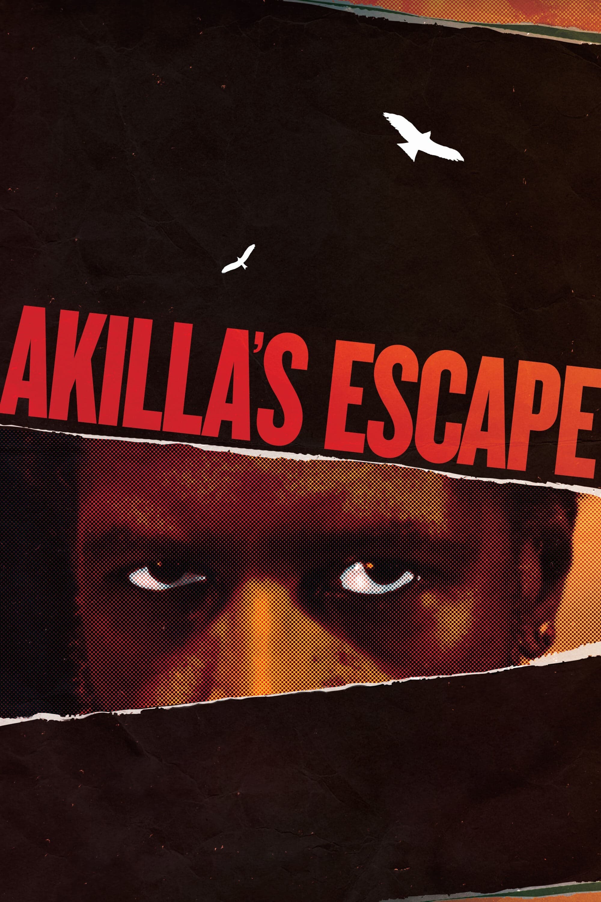 Akilla's Escape full movie
