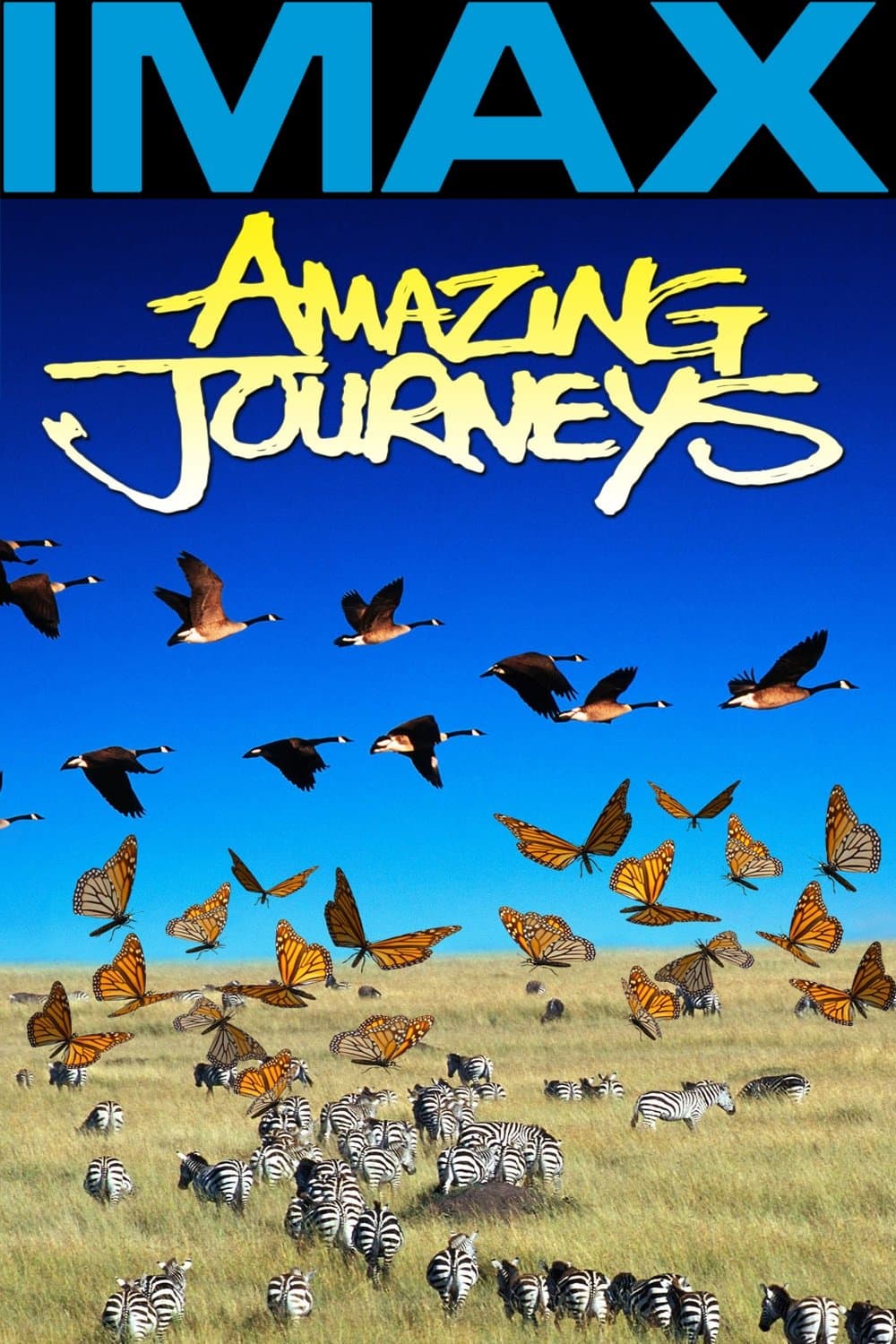 Amazing Journeys full movie